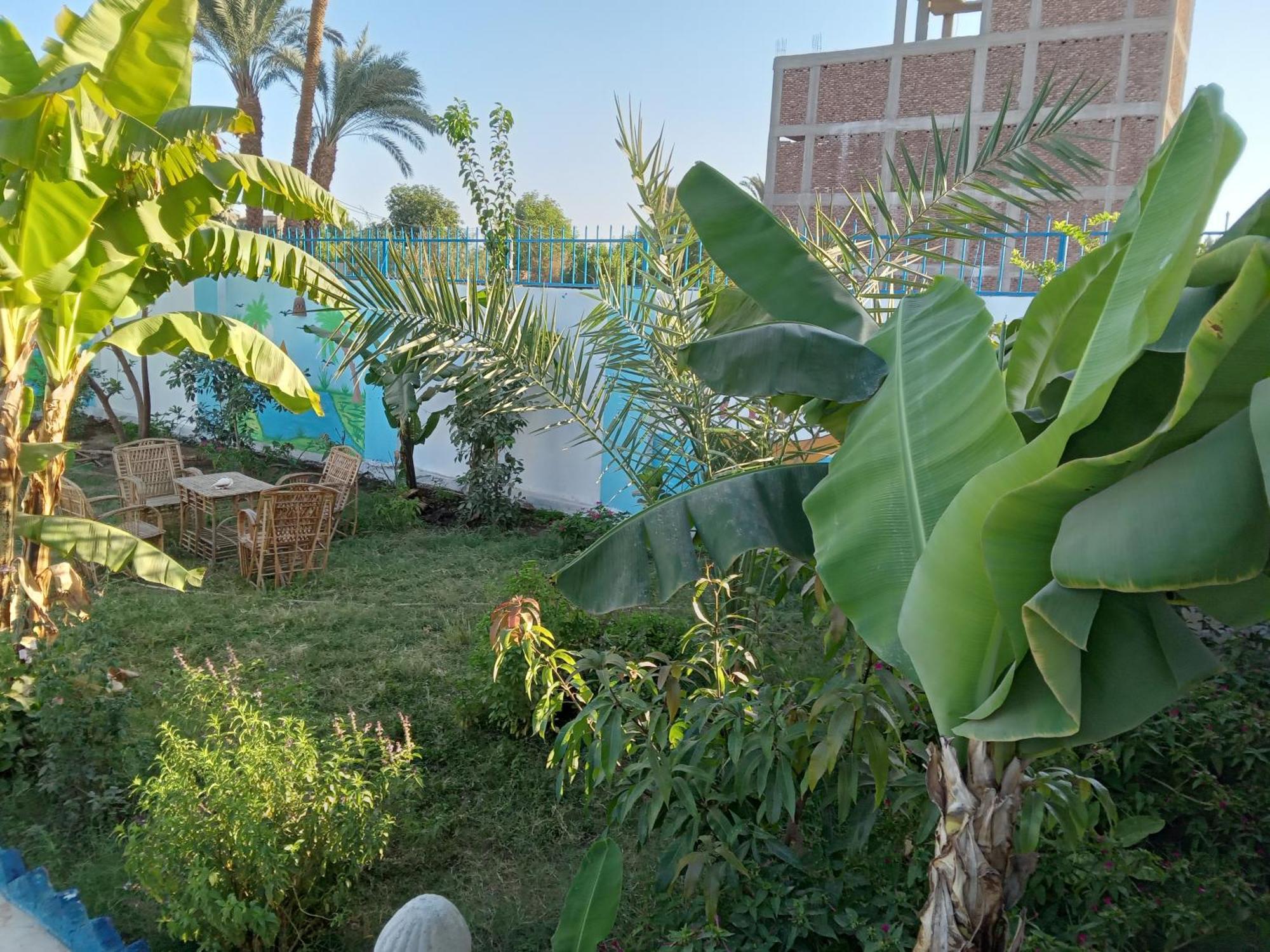 Apartmán Noby